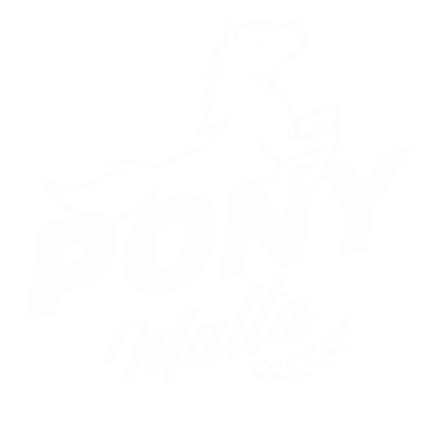 Pony Malta